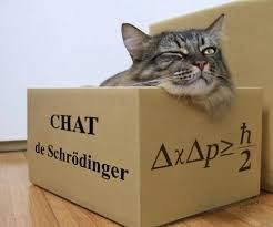 chatdes.jpg